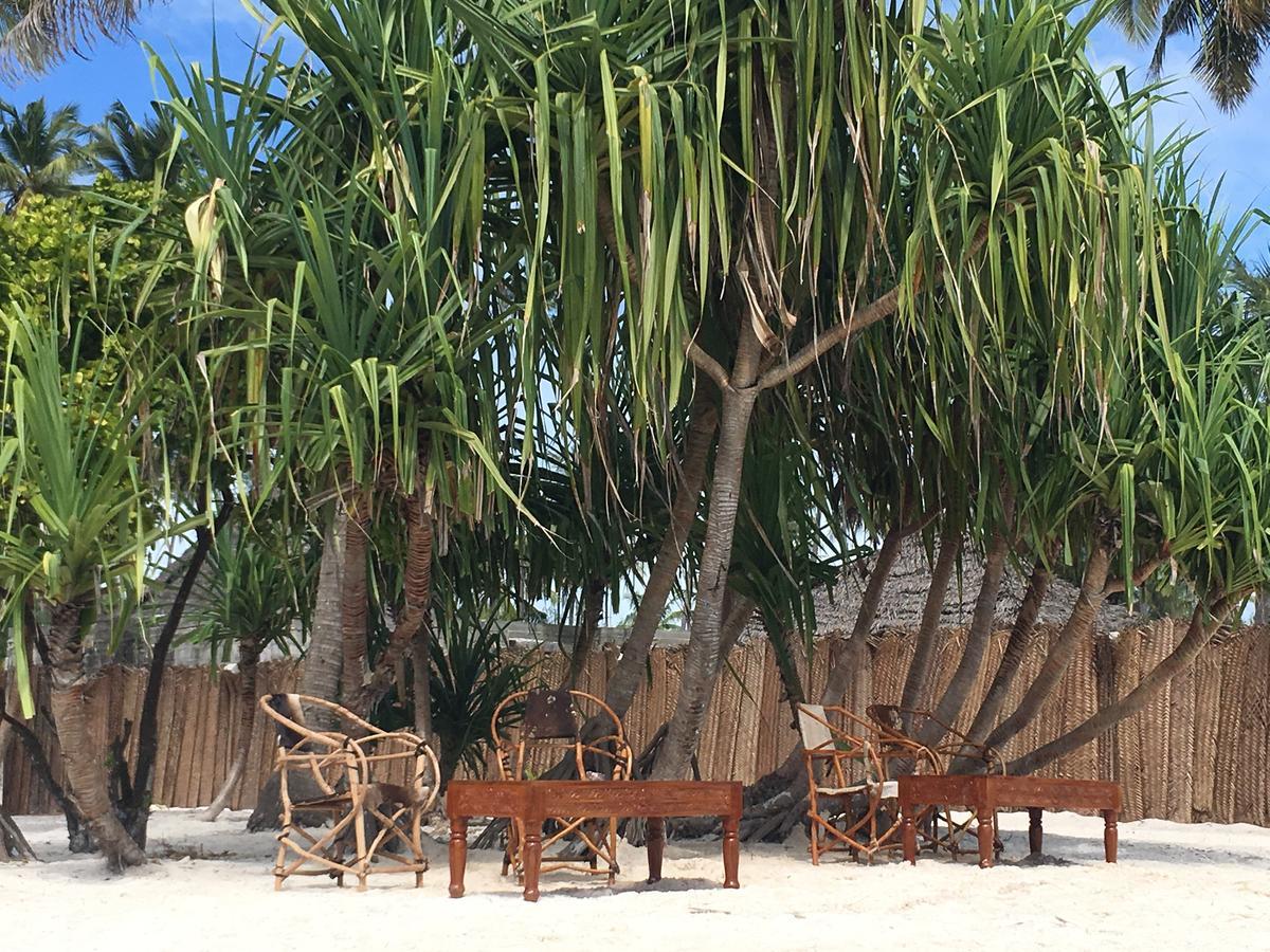 Emma Bay Beach House Michamvi Kae Ngoại thất bức ảnh